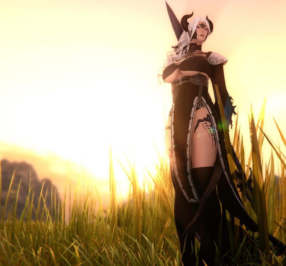 The Heart of a Warrior